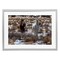 Stupell Industries Arches Horse Pair in Snow Framed Print Under Glass, design by Jeff Poe Photography